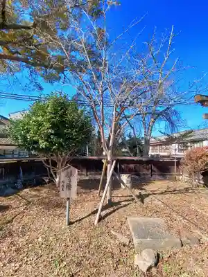 勝手神社の自然