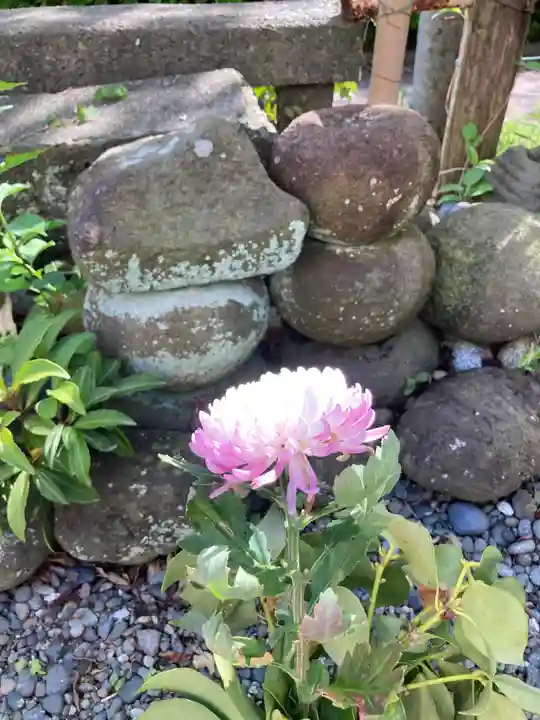 小澤寺(神奈川県)