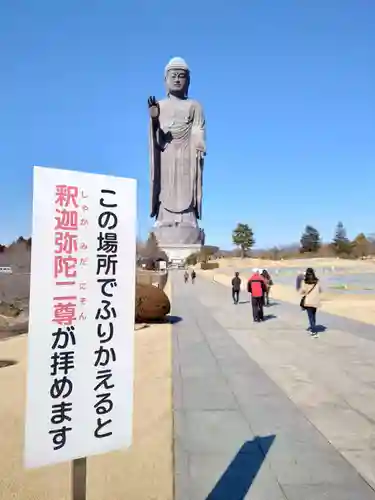 東本願寺本廟 牛久浄苑（牛久大仏）の仏像