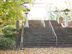 岩内神社の自然