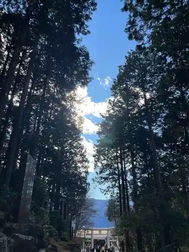 三峯神社(埼玉県)