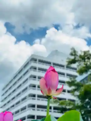 福井神社(福井県)
