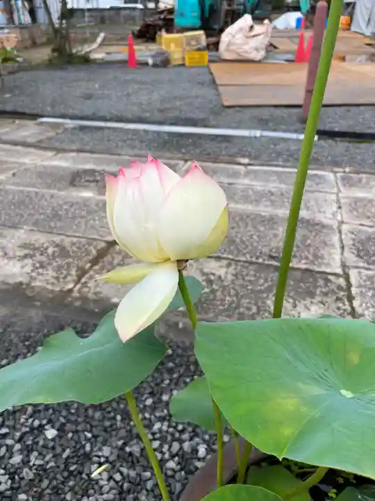 大光寺(大阪府)