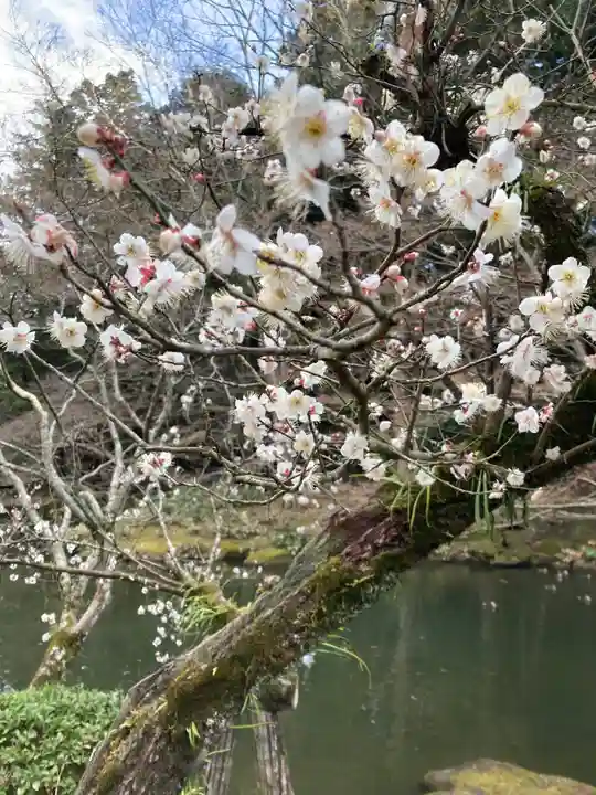 成田山新勝寺(千葉県)