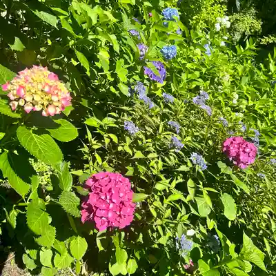 鷲子山上神社(栃木県)
