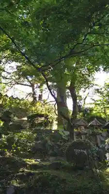 千手院(奈良県)