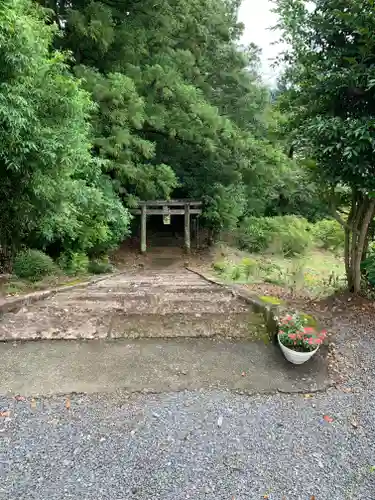 大宮神社の鳥居