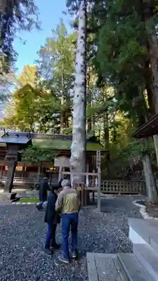 諏訪大社下社春宮(長野県)