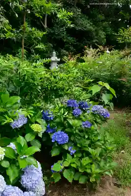 鎌数伊勢大神宮(千葉県)