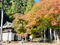 古知谷阿弥陀寺(京都府)