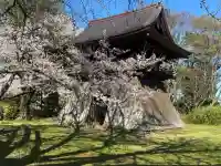 陸奥国分寺薬師堂の{uncategorized: "未分類", other: "その他", undefined: "問題あり", building: "その他建物", grave: "お墓", sacred_gate: "鳥居", guardian: "狛犬", statue: "像", buddha: "仏像", history: "歴史", nature: "自然", garden: "庭園", animal: "動物", pagoda: "塔", temizu: "手水舎", mountain_gate: "山門・神門", sanctuary: "本殿・本堂", subordinate: "末社・摂社", art: "芸術", scenery: "景色", jizo: "地蔵", ema: "絵馬", goshuin: "御朱印", omikuji: "おみくじ", items: "授与品その他", amulet: "お守り", goshuincho: "御朱印帳", eats: "食事", festival: "お祭り", votive_dance: "神楽", shichigosan: "七五三参", wedding: "結婚式", experience: "体験その他", initially: "初詣", around: "周辺", anti_infection: "感染症対策"}