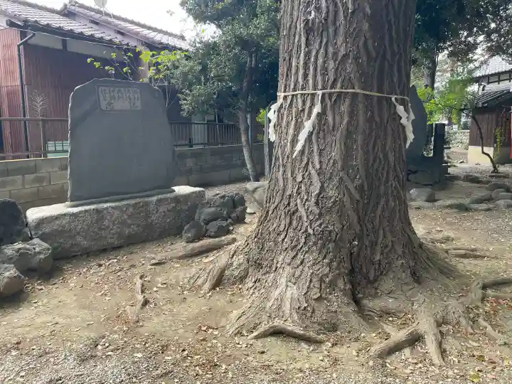 諏訪大神社 の{uncategorized: "未分類", other: "その他", undefined: "問題あり", building: "その他建物", grave: "お墓", sacred_gate: "鳥居", guardian: "狛犬", statue: "像", buddha: "仏像", history: "歴史", nature: "自然", garden: "庭園", animal: "動物", pagoda: "塔", temizu: "手水舎", mountain_gate: "山門・神門", sanctuary: "本殿・本堂", subordinate: "末社・摂社", art: "芸術", scenery: "景色", jizo: "地蔵", ema: "絵馬", goshuin: "御朱印", omikuji: "おみくじ", items: "授与品その他", amulet: "お守り", goshuincho: "御朱印帳", eats: "食事", festival: "お祭り", votive_dance: "神楽", shichigosan: "七五三参", wedding: "結婚式", experience: "体験その他", initially: "初詣", around: "周辺", anti_infection: "感染症対策"}