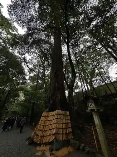 伊勢神宮内宮（皇大神宮）(三重県)