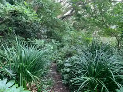 愛宕権現様の周辺