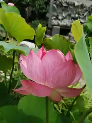 長善寺(東京都)