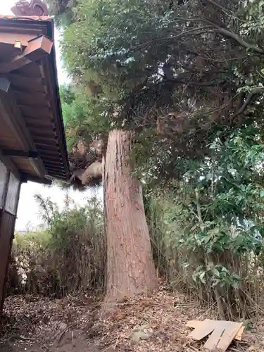 水神宮(千葉県)