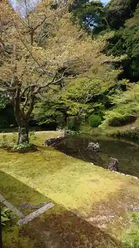 宗隣寺の庭園