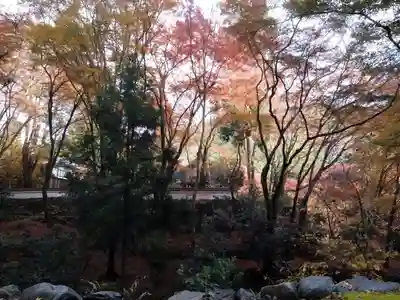 高山寺(京都府)