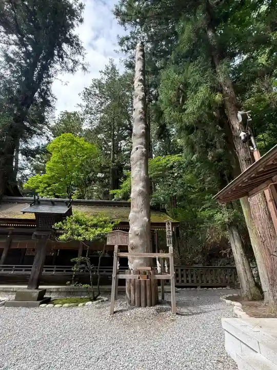諏訪大社下社春宮(長野県)