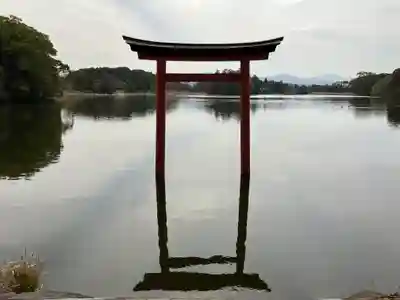 薦神社(大分県)