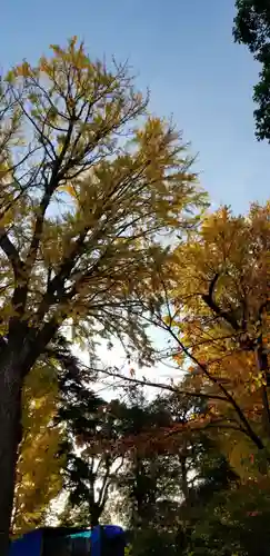 葛西神社の自然