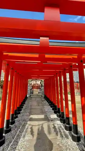 堺戎神社(大阪府)