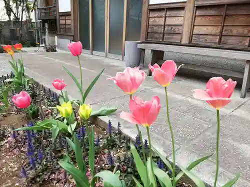 大運寺の自然