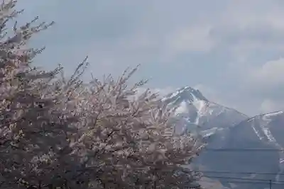 羽黒山神社（西の宮　羽黒山神社）の景色