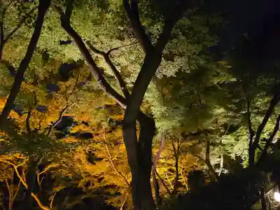 清水寺(京都府)