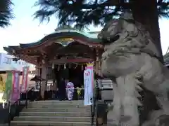 今戸神社の狛犬