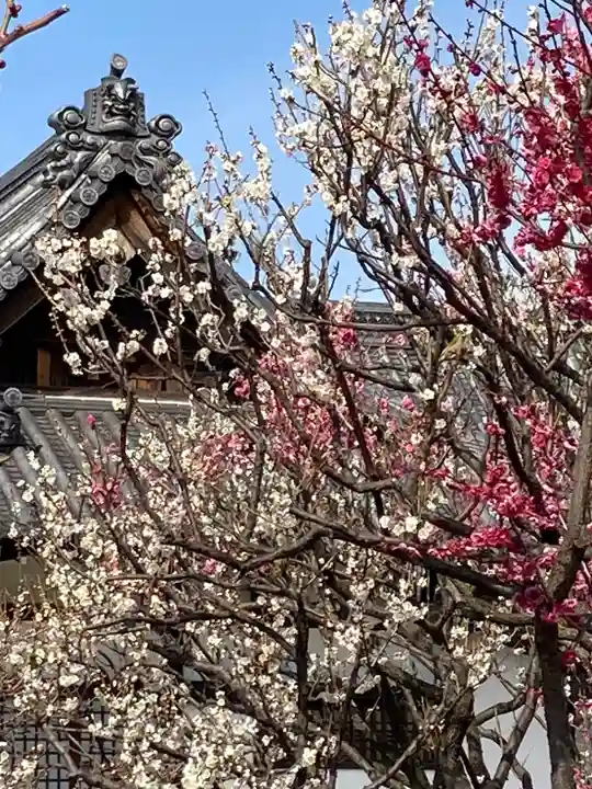 曽根天満宮の自然