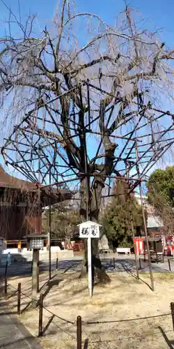 大報恩寺（千本釈迦堂）(京都府)