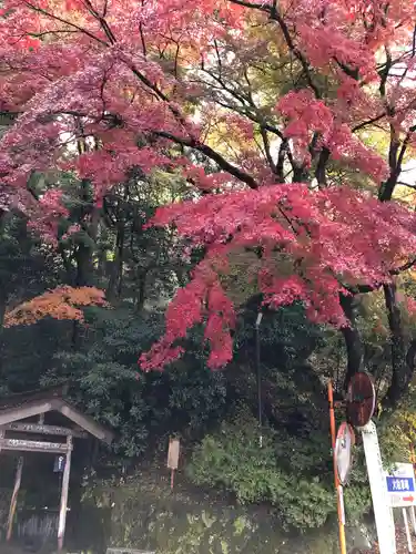 水澤寺(水澤観世音)の自然