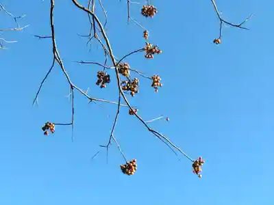 萬福寺(神奈川県)