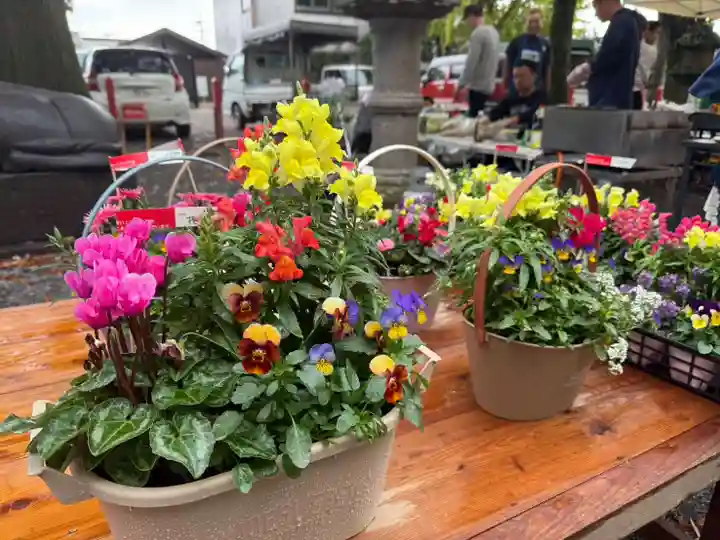 美奈宜神社(福岡県)