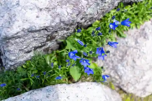 白山比咩神社　奥宮(石川県)