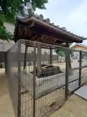 椿神明社の手水