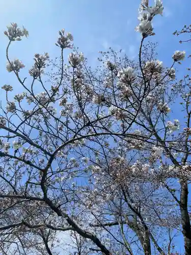 上関山 極楽寺(神奈川県)