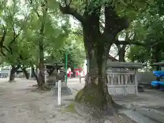 神明社の自然