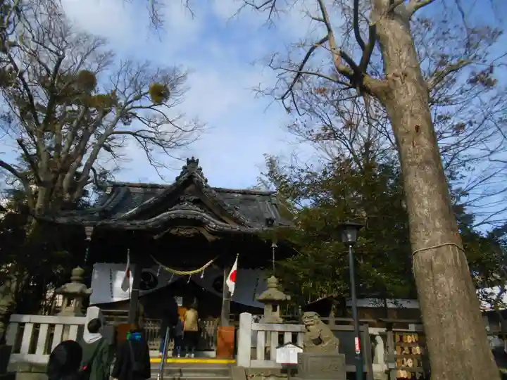 亀岡八幡宮(亀岡八幡神社)の本殿・本堂