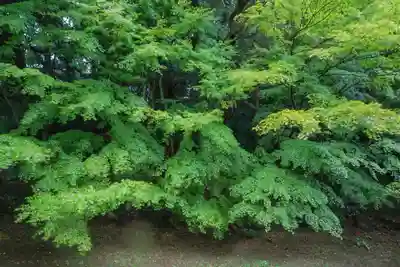 南原寺(山口県)