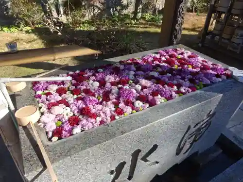 横浜　西方寺の手水舎