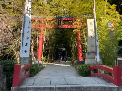 來宮神社(静岡県)