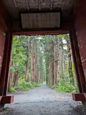 戸隠神社奥社の山門・神門