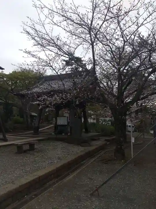 時宗総本山 遊行寺(正式:清浄光寺)(神奈川県)