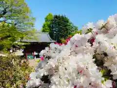 根津神社の景色