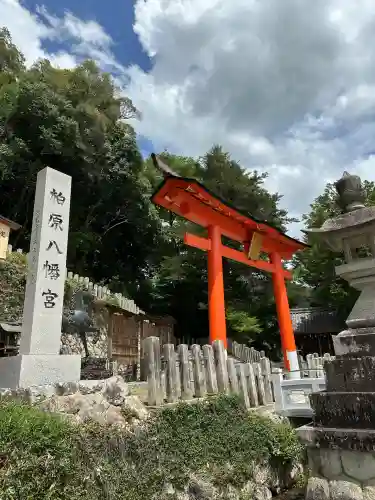 柏原八幡宮の鳥居
