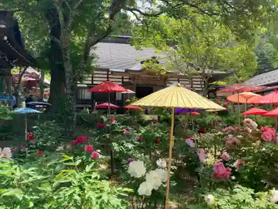 遠照寺(長野県)