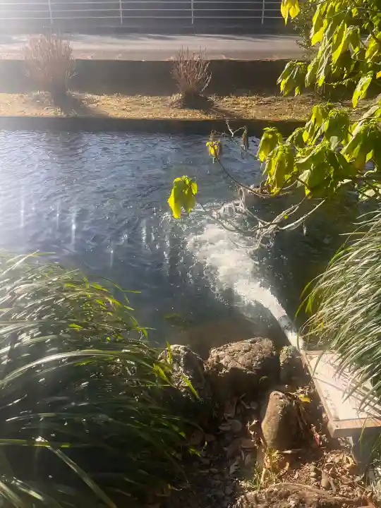 今泉神社の{uncategorized: "未分類", other: "その他", undefined: "問題あり", building: "その他建物", grave: "お墓", sacred_gate: "鳥居", guardian: "狛犬", statue: "像", buddha: "仏像", history: "歴史", nature: "自然", garden: "庭園", animal: "動物", pagoda: "塔", temizu: "手水舎", mountain_gate: "山門・神門", sanctuary: "本殿・本堂", subordinate: "末社・摂社", art: "芸術", scenery: "景色", jizo: "地蔵", ema: "絵馬", goshuin: "御朱印", omikuji: "おみくじ", items: "授与品その他", amulet: "お守り", goshuincho: "御朱印帳", eats: "食事", festival: "お祭り", votive_dance: "神楽", shichigosan: "七五三参", wedding: "結婚式", experience: "体験その他", initially: "初詣", around: "周辺", anti_infection: "感染症対策"}