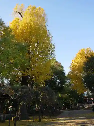 長命寺の庭園